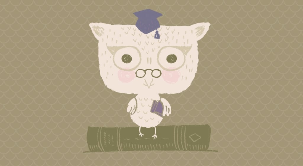 Cute owl illustration